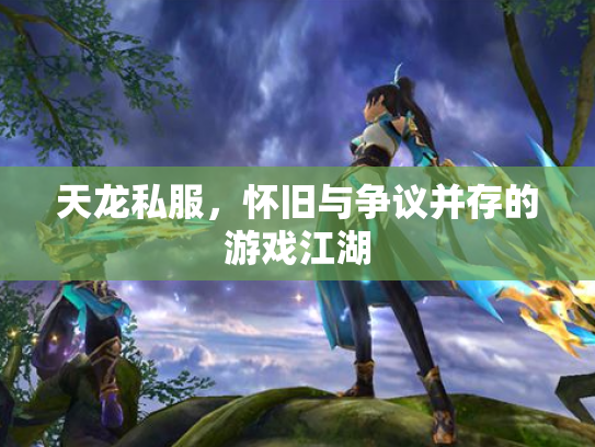 天龙私服，怀旧与争议并存的游戏江湖