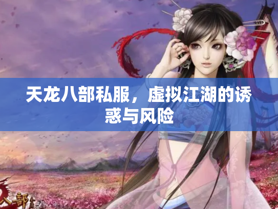 天龙八部私服，虚拟江湖的诱惑与风险