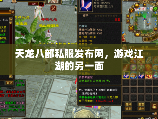 天龙八部私服发布网，游戏江湖的另一面