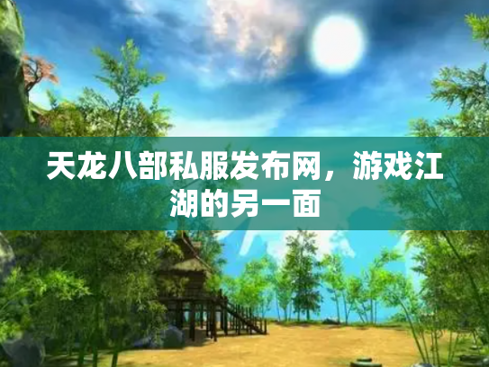 天龙八部私服发布网，游戏江湖的另一面