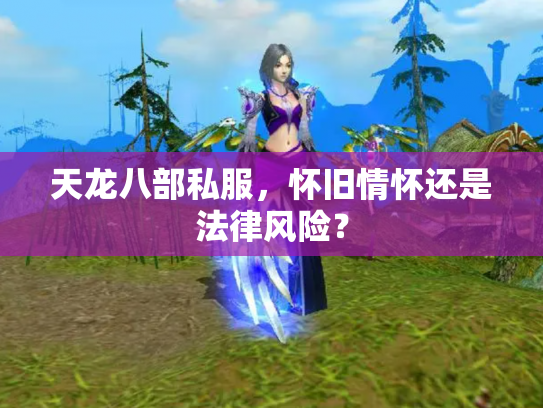 天龙八部私服，怀旧情怀还是法律风险？