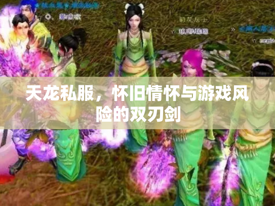 天龙私服，怀旧情怀与游戏风险的双刃剑