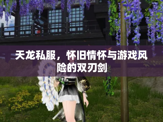 天龙私服，怀旧情怀与游戏风险的双刃剑