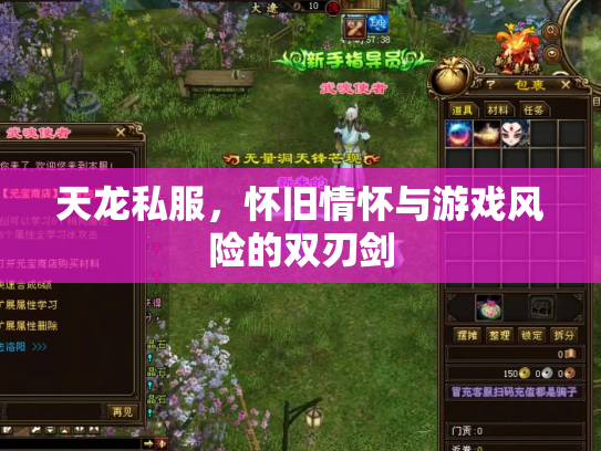 天龙私服，怀旧情怀与游戏风险的双刃剑
