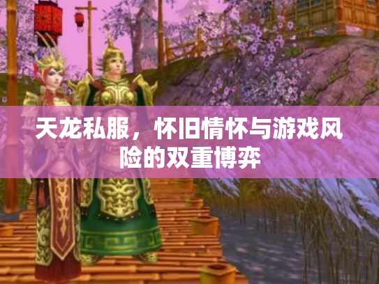 天龙私服，怀旧情怀与游戏风险的双重博弈