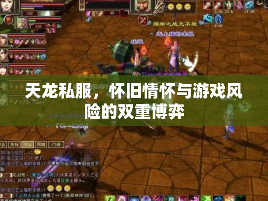 天龙私服，怀旧情怀与游戏风险的双重博弈