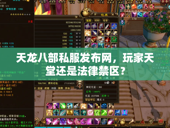 天龙八部私服发布网，玩家天堂还是法律禁区？