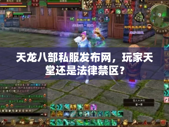 天龙八部私服发布网，玩家天堂还是法律禁区？
