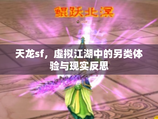 天龙sf，虚拟江湖中的另类体验与现实反思
