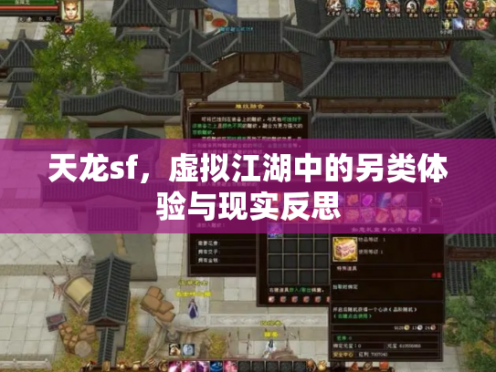 天龙sf，虚拟江湖中的另类体验与现实反思