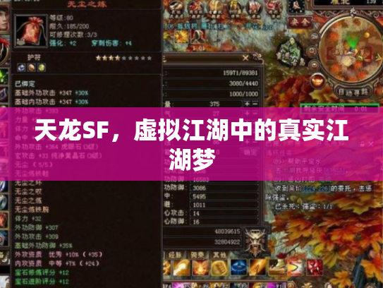 天龙SF，虚拟江湖中的真实江湖梦