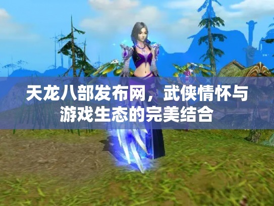 天龙八部发布网，武侠情怀与游戏生态的完美结合