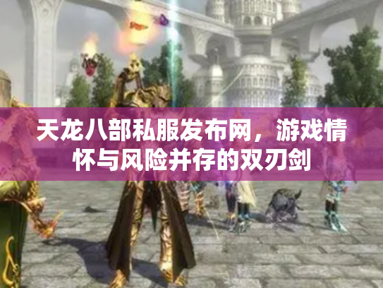 天龙八部私服发布网，游戏情怀与风险并存的双刃剑