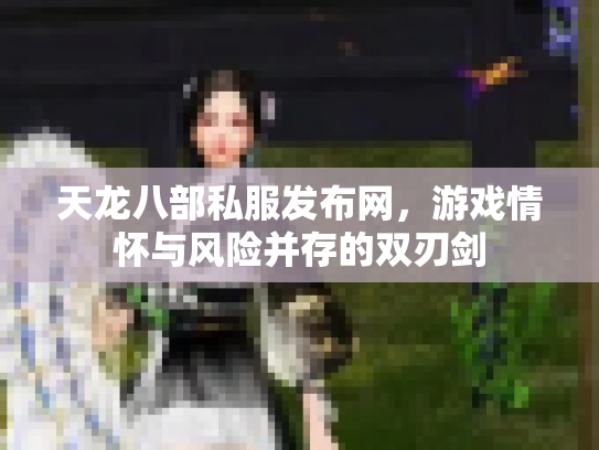 天龙八部私服发布网，游戏情怀与风险并存的双刃剑