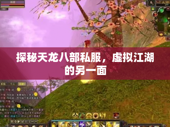 探秘天龙八部私服，虚拟江湖的另一面