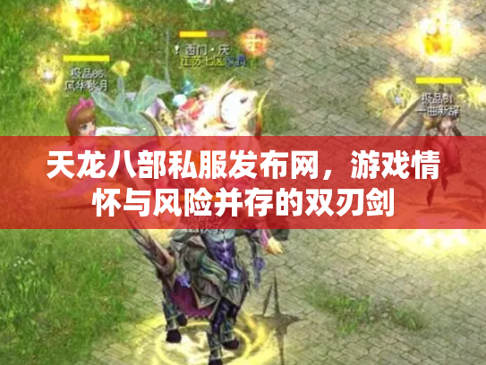 天龙八部私服发布网，游戏情怀与风险并存的双刃剑