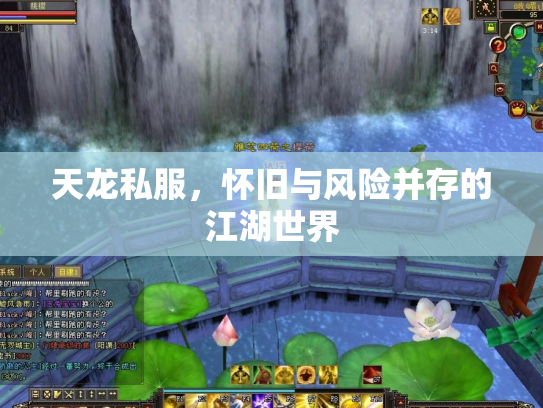 天龙私服，怀旧与风险并存的江湖世界
