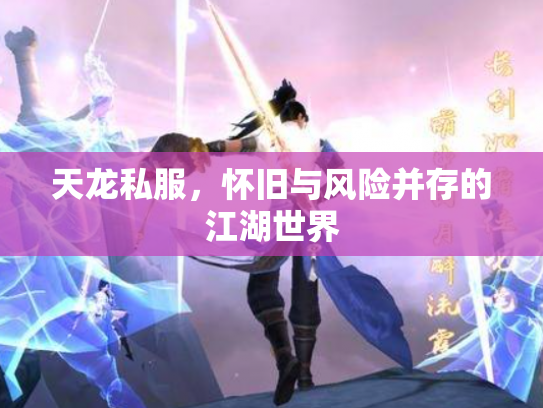 天龙私服，怀旧与风险并存的江湖世界