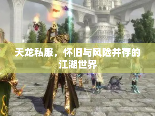 天龙私服，怀旧与风险并存的江湖世界