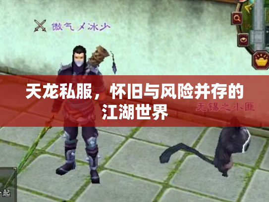 天龙私服，怀旧与风险并存的江湖世界