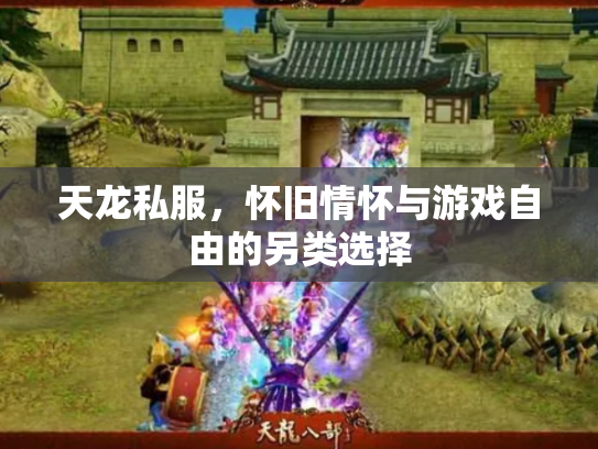 天龙私服，怀旧情怀与游戏自由的另类选择