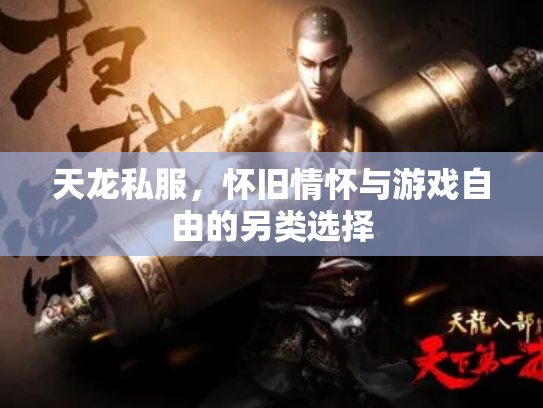 天龙私服，怀旧情怀与游戏自由的另类选择