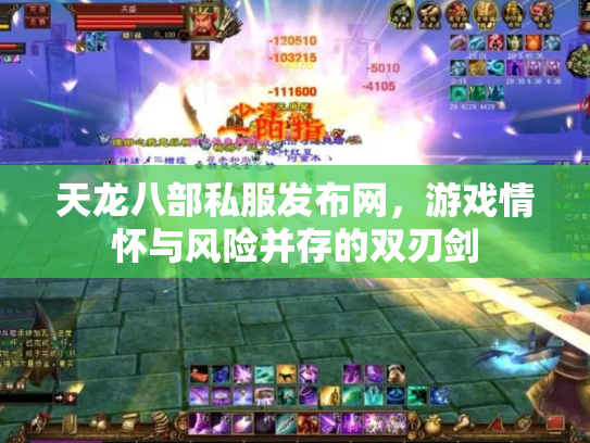 天龙八部私服发布网，游戏情怀与风险并存的双刃剑