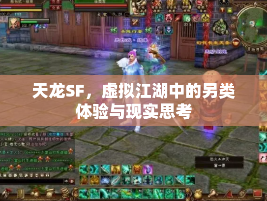 天龙SF，虚拟江湖中的另类体验与现实思考