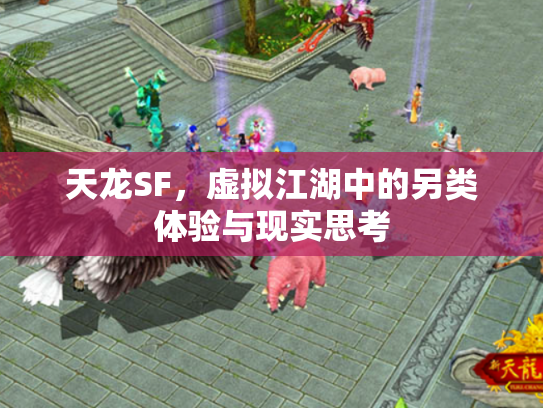天龙SF，虚拟江湖中的另类体验与现实思考