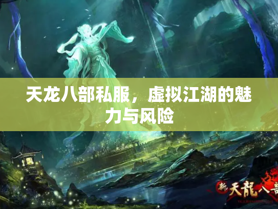 天龙八部私服，虚拟江湖的魅力与风险