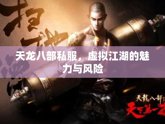 天龙八部私服，虚拟江湖的魅力与风险