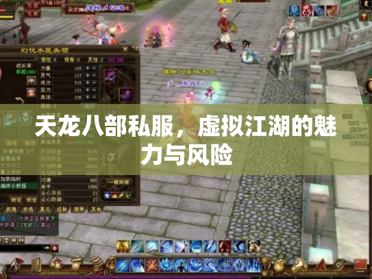 天龙八部私服，虚拟江湖的魅力与风险