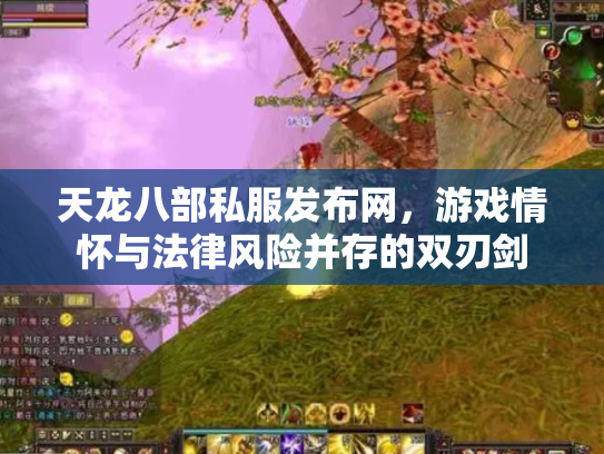 天龙八部私服发布网，游戏情怀与法律风险并存的双刃剑