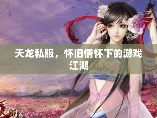 天龙私服，怀旧情怀下的游戏江湖