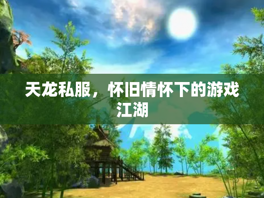 天龙私服，怀旧情怀下的游戏江湖