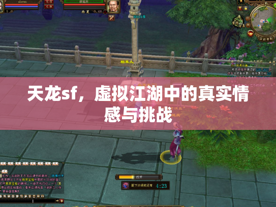 天龙sf，虚拟江湖中的真实情感与挑战