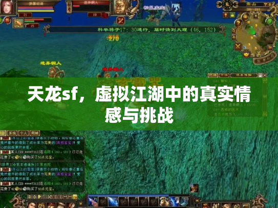 天龙sf，虚拟江湖中的真实情感与挑战