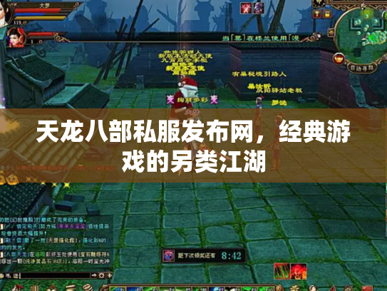 天龙八部私服发布网，经典游戏的另类江湖
