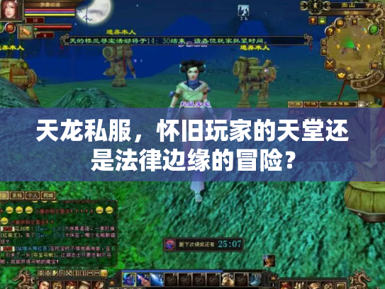 天龙私服，怀旧玩家的天堂还是法律边缘的冒险？