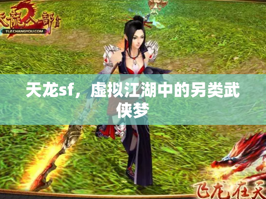 天龙sf，虚拟江湖中的另类武侠梦
