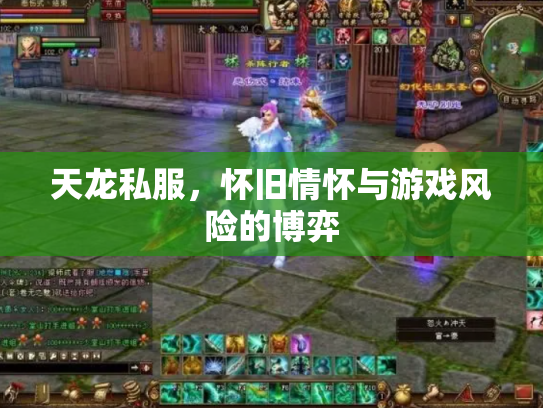 天龙私服，怀旧情怀与游戏风险的博弈