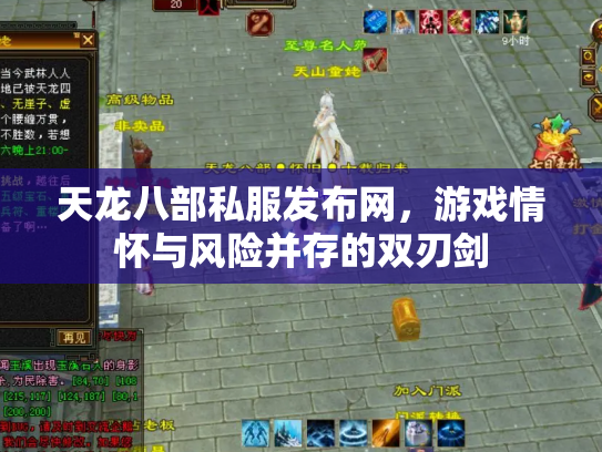天龙八部私服发布网，游戏情怀与风险并存的双刃剑