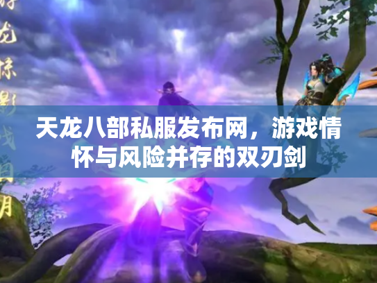 天龙八部私服发布网，游戏情怀与风险并存的双刃剑