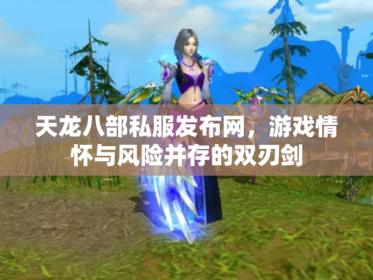 天龙八部私服发布网，游戏情怀与风险并存的双刃剑