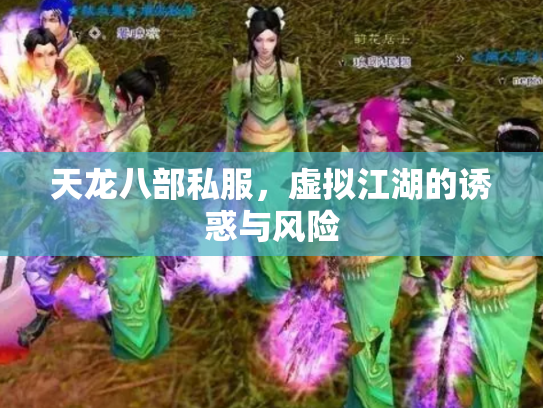 天龙八部私服，虚拟江湖的诱惑与风险