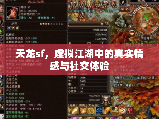 天龙sf，虚拟江湖中的真实情感与社交体验