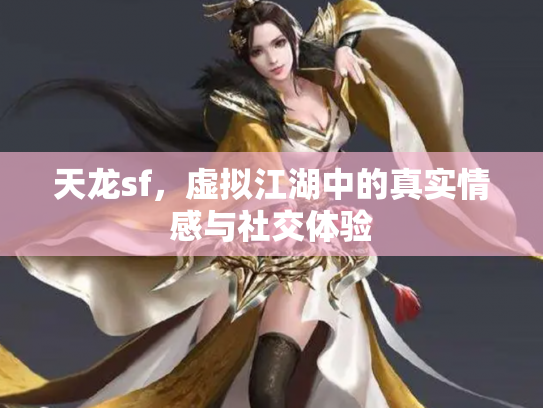 天龙sf，虚拟江湖中的真实情感与社交体验