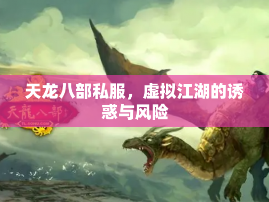 天龙八部私服，虚拟江湖的诱惑与风险