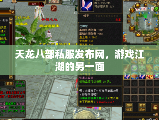 天龙八部私服发布网，游戏江湖的另一面