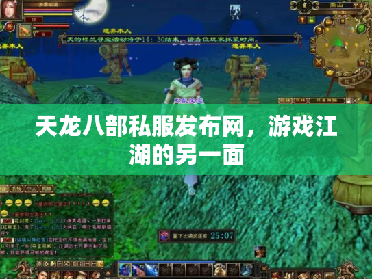 天龙八部私服发布网，游戏江湖的另一面